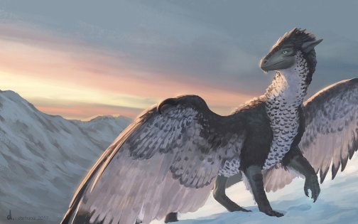 Frost and feathers dschunai