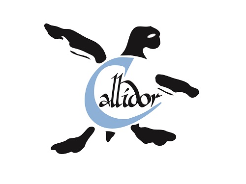 Logo Callidor 500.jpg