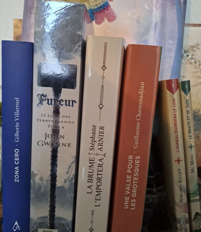 Photo d'illustration montrant les livres lus dans le mois.